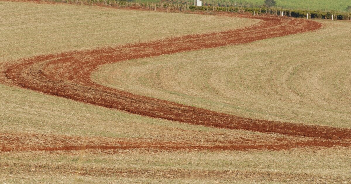 Plantio Direto: Pioneirismo do Paraná revolucionou a agricultura brasileira